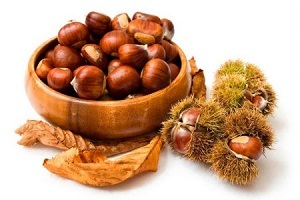 horse chestnuts for the treatment of prostatitis